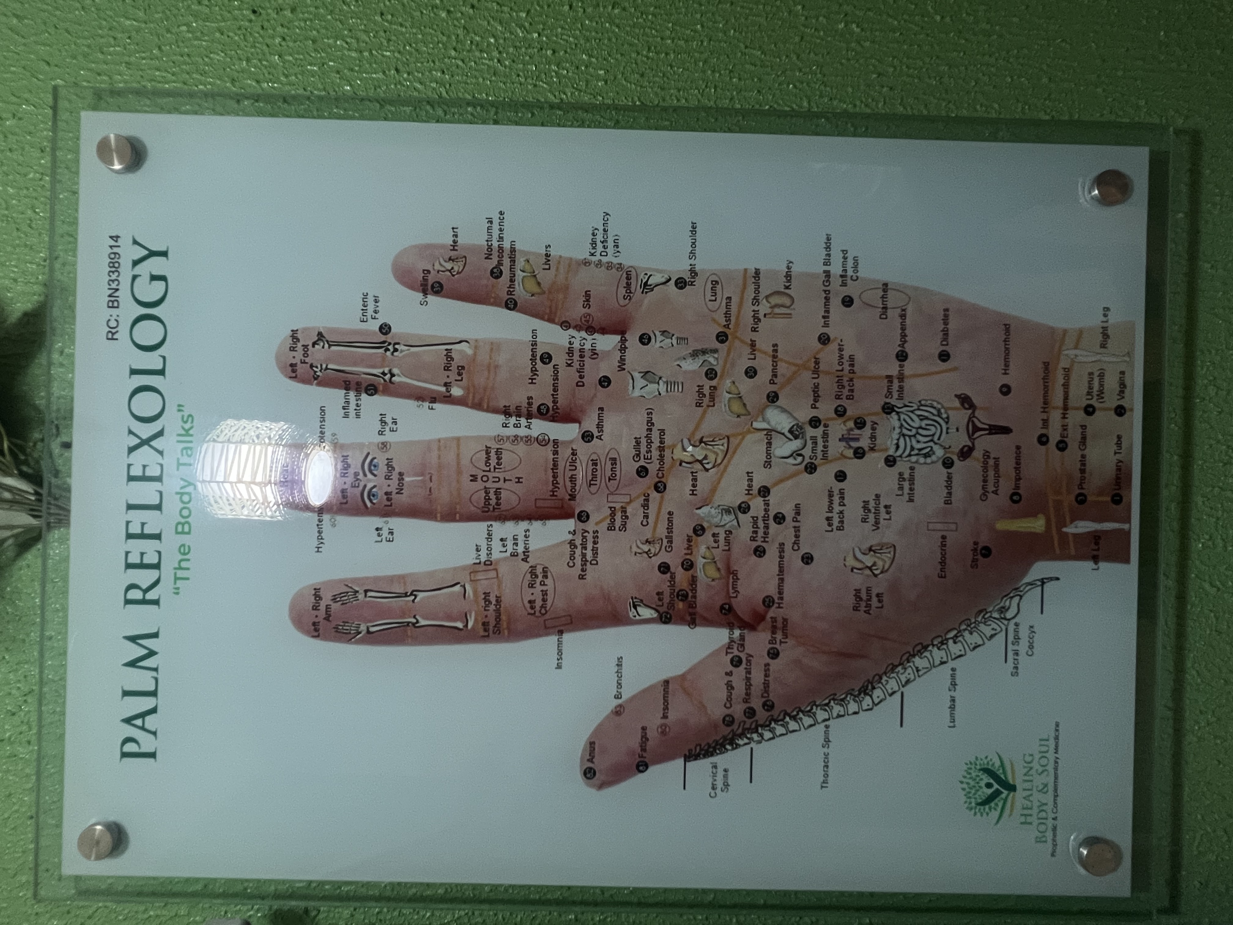 Palm Reflexology